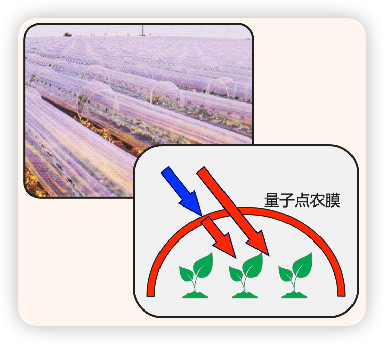 Quantum Dot Agricultural Product